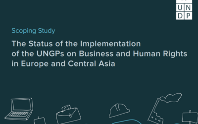 Report: Status of implementation of UNGPs on Business and Human Rights in Europe & Central AsiaReport: